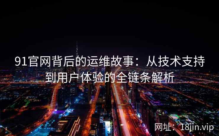 91官网背后的运维故事：从技术支持到用户体验的全链条解析
