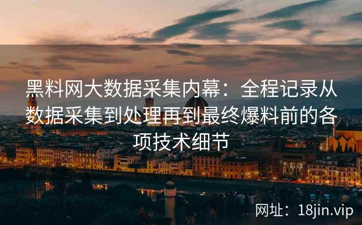 黑料网大数据采集内幕：全程记录从数据采集到处理再到最终爆料前的各项技术细节