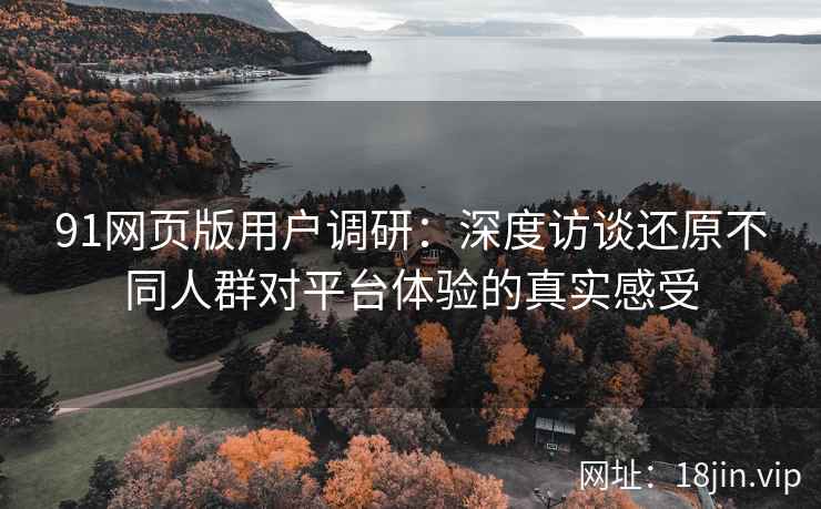 91网页版用户调研：深度访谈还原不同人群对平台体验的真实感受