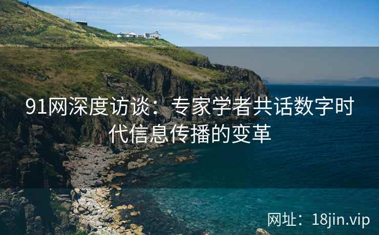 91网深度访谈：专家学者共话数字时代信息传播的变革