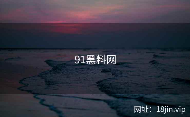 91黑料网