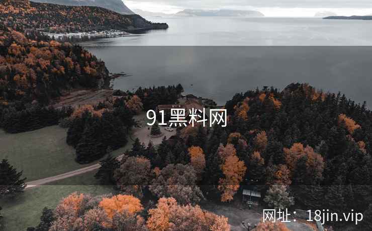 91黑料网