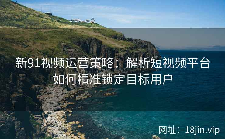 新91视频运营策略：解析短视频平台如何精准锁定目标用户
