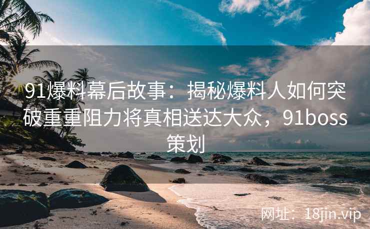 91爆料幕后故事：揭秘爆料人如何突破重重阻力将真相送达大众，91boss策划