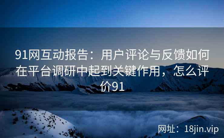 91网互动报告：用户评论与反馈如何在平台调研中起到关键作用，怎么评价91