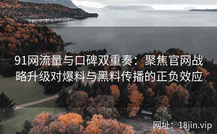 91网流量与口碑双重奏：聚焦官网战略升级对爆料与黑料传播的正负效应
