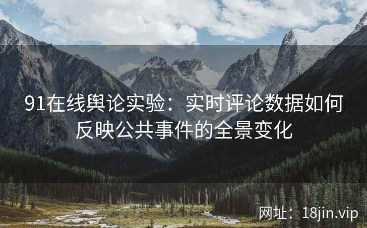 91在线舆论实验：实时评论数据如何反映公共事件的全景变化
