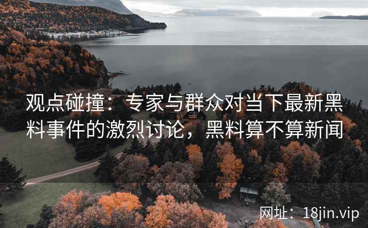 观点碰撞：专家与群众对当下最新黑料事件的激烈讨论，黑料算不算新闻