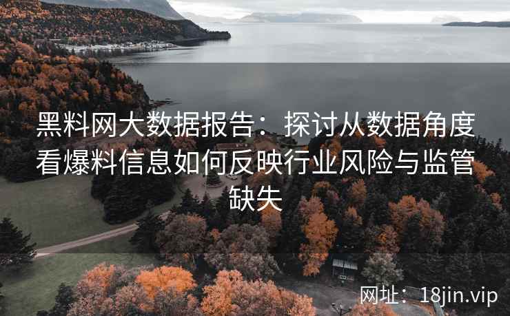 黑料网大数据报告：探讨从数据角度看爆料信息如何反映行业风险与监管缺失