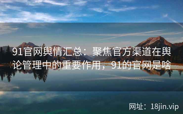 91官网舆情汇总：聚焦官方渠道在舆论管理中的重要作用，91的官网是啥