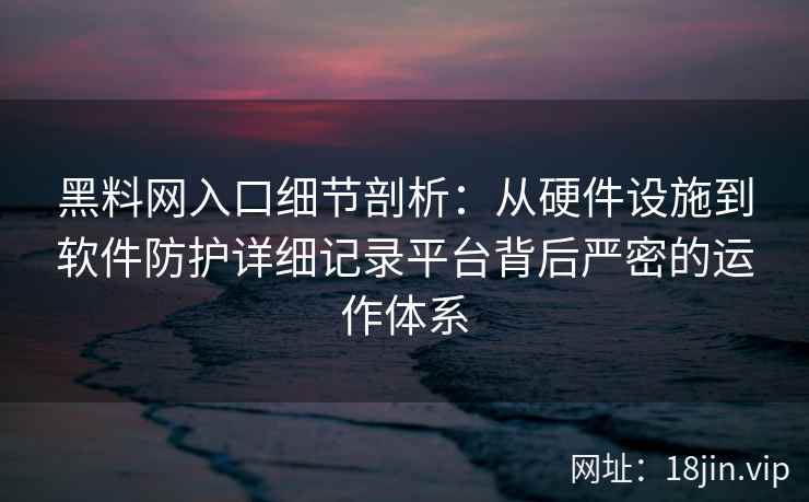 黑料网入口细节剖析：从硬件设施到软件防护详细记录平台背后严密的运作体系