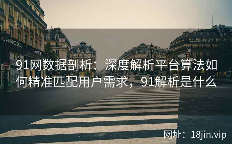 91网数据剖析：深度解析平台算法如何精准匹配用户需求，91解析是什么