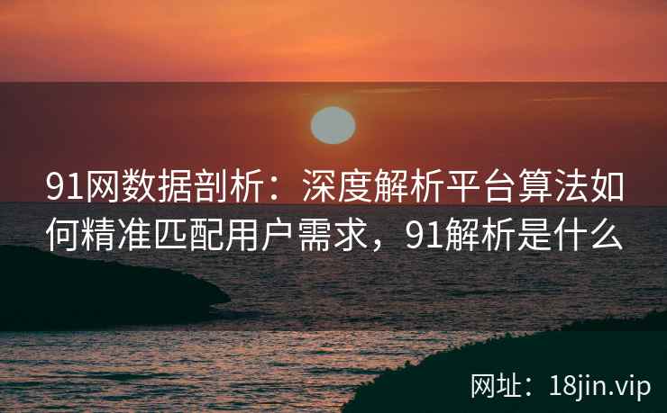 91网数据剖析：深度解析平台算法如何精准匹配用户需求，91解析是什么