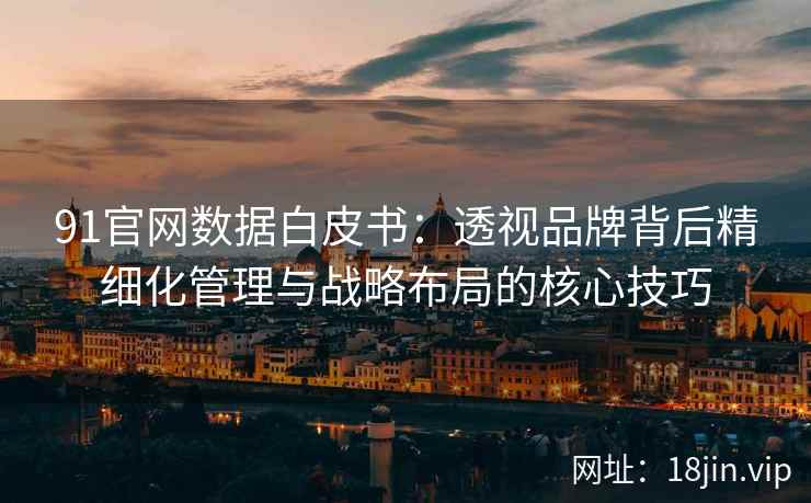 91官网数据白皮书：透视品牌背后精细化管理与战略布局的核心技巧