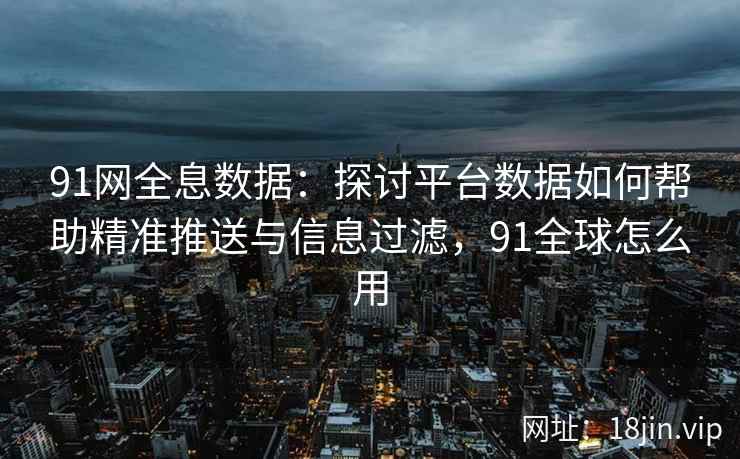 91网全息数据：探讨平台数据如何帮助精准推送与信息过滤，91全球怎么用