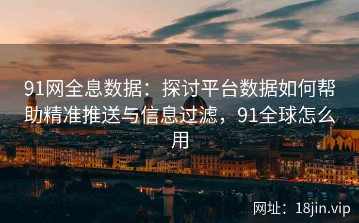 91网全息数据：探讨平台数据如何帮助精准推送与信息过滤，91全球怎么用