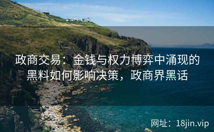 政商交易：金钱与权力博弈中涌现的黑料如何影响决策，政商界黑话