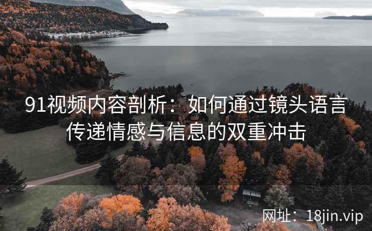 91视频内容剖析：如何通过镜头语言传递情感与信息的双重冲击