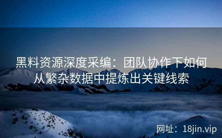 黑料资源深度采编：团队协作下如何从繁杂数据中提炼出关键线索