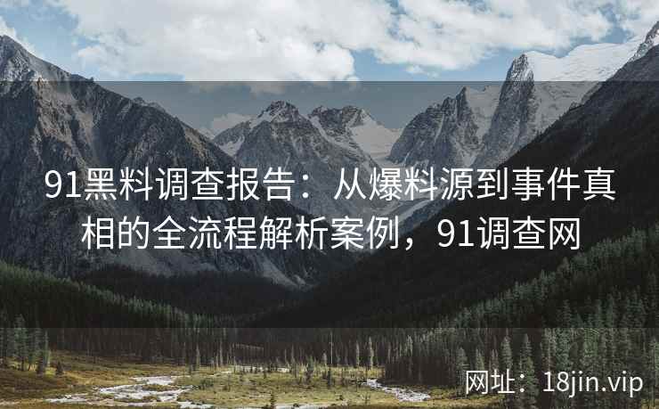 91黑料调查报告：从爆料源到事件真相的全流程解析案例，91调查网