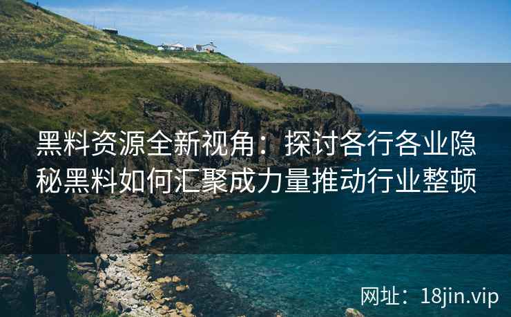 黑料资源全新视角：探讨各行各业隐秘黑料如何汇聚成力量推动行业整顿