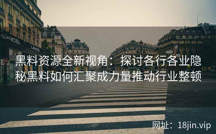 黑料资源全新视角：探讨各行各业隐秘黑料如何汇聚成力量推动行业整顿