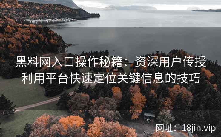 黑料网入口操作秘籍：资深用户传授利用平台快速定位关键信息的技巧